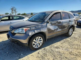 HONDA CR-V LX