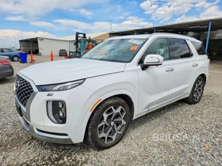 HYUNDAI PALISADE CALLIGRAPHY