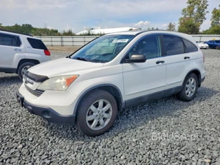 HONDA CR-V EX