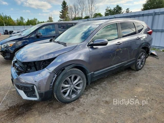 HONDA CR-V SPORT