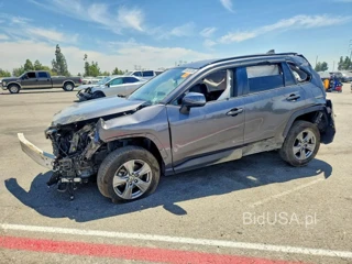 TOYOTA RAV4 XLE