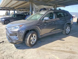 TOYOTA RAV4 HYBRID XLE