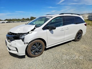 HONDA ODYSSEY SPORT