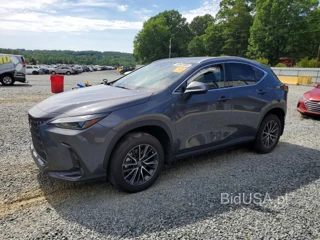 LEXUS NX 250 PREMIUM