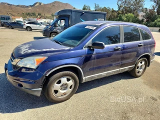 HONDA CR-V LX