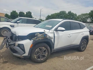 HYUNDAI TUCSON BLUE