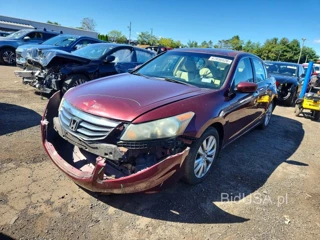 HONDA ACCORD EXL