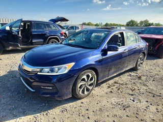 HONDA ACCORD EXL