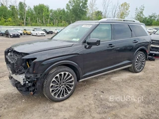 HYUNDAI PALISADE CALLIGRAPHY