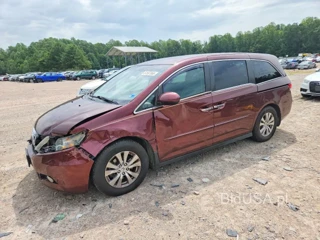 HONDA ODYSSEY SE