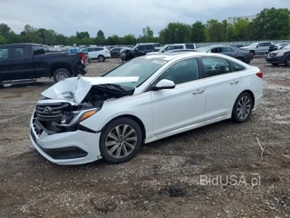 HYUNDAI SONATA SPORT