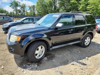 FORD ESCAPE XLT