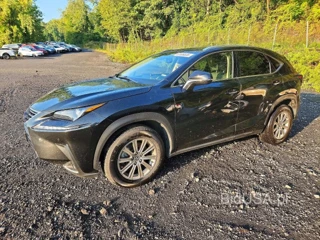 LEXUS NX 300