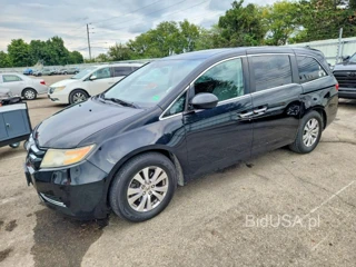 HONDA ODYSSEY EXL