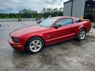FORD MUSTANG GT