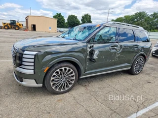 HYUNDAI PALISADE CALLIGRAPHY