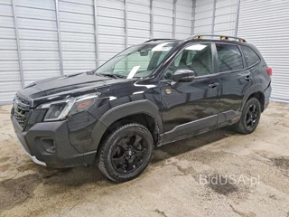 SUBARU FORESTER WILDERNESS