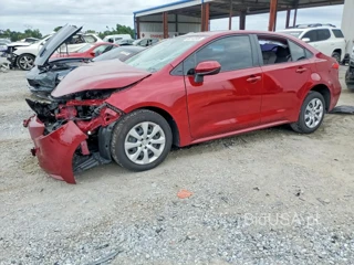 TOYOTA COROLLA HYBRID LE