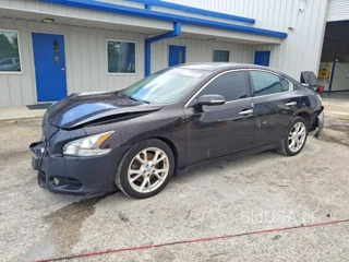 NISSAN MAXIMA 3.5 S
