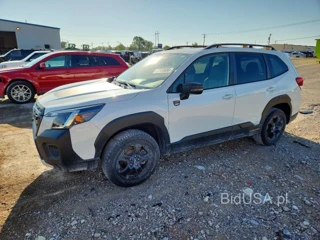 SUBARU FORESTER WILDERNESS