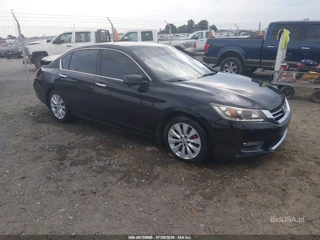 HONDA HONDA ACCORD EX-L V-6