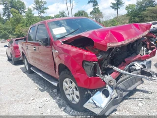 FORD FORD F-150 XLT