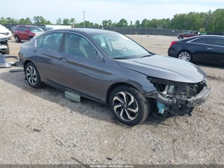 HONDA HONDA ACCORD EX-L