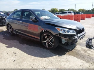 HONDA HONDA ACCORD SPORT