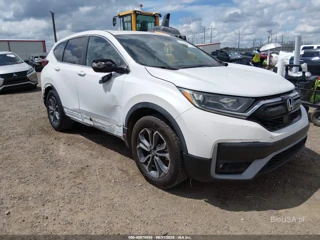 HONDA HONDA CR-V 2WD EX-L