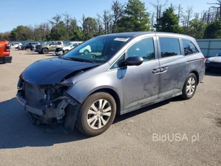 HONDA ODYSSEY SE