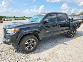 TOYOTA TACOMA TRD SPORT