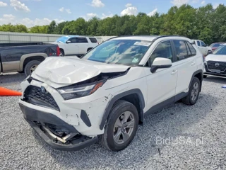 TOYOTA RAV4 HYBRID XLE