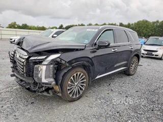 HYUNDAI PALISADE CALLIGRAPHY