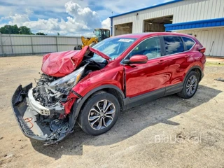 HONDA CR-V EX