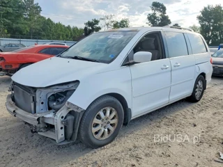 HONDA ODYSSEY EXL