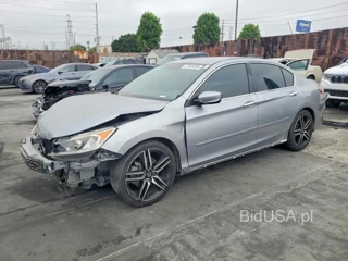 HONDA ACCORD SPORT SPECIAL EDITION