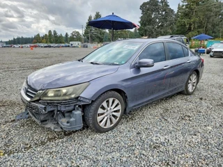 HONDA ACCORD EXL