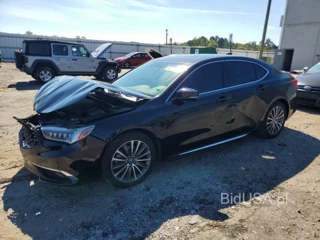 ACURA TLX ADVANCE