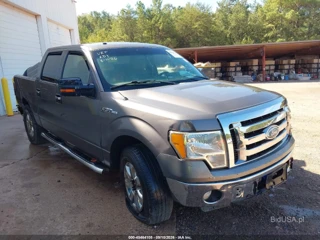 FORD FORD F-150 XLT
