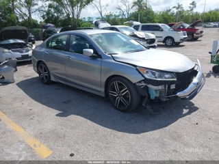 HONDA HONDA ACCORD SPORT