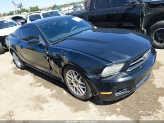 FORD FORD MUSTANG V6 PREMIUM