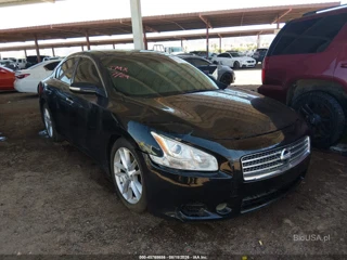 NISSAN NISSAN MAXIMA 3.5 SV