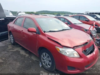 TOYOTA TOYOTA COROLLA LE