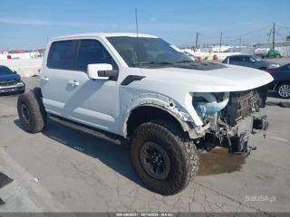 FORD FORD F-150 RAPTOR