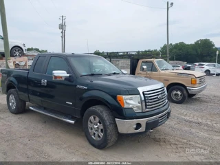 FORD FORD F-150 XLT