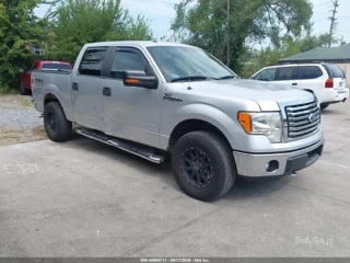 FORD FORD F-150 XLT