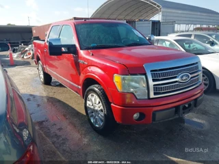 FORD FORD F-150 PLATINUM