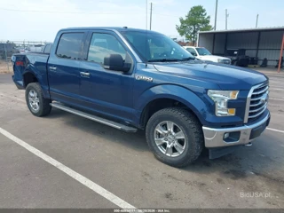 FORD FORD F-150 XLT