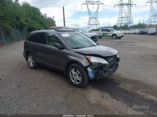 HONDA HONDA CR-V EX