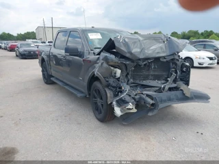 FORD FORD F-150 XLT